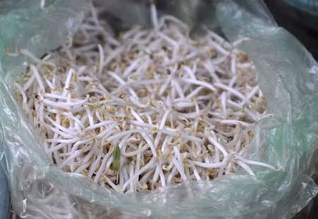 Hà Nội siết chặt quản lý sản xuất, kinh doanh giá đỗ, rau mầm ảnh 1