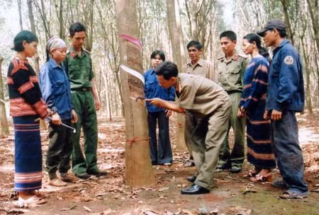 Tây Nguyên đổi thay, phát triển từng ngày ảnh 1