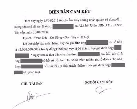 Nhờ thế chấp vay ngân hàng, mất cả tiền lẫn “sổ đỏ” ảnh 1