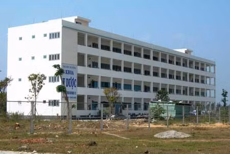 Xây dựng Làng Đại học Đà Nẵng: Đề án lớn, thực hiện “nhỏ giọt” ảnh 1