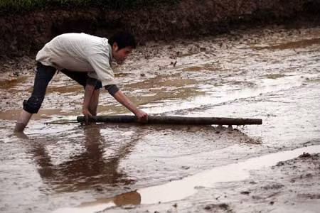 Chùm ảnh: Nông dân xuống đồng trong ngày đầu năm mới ảnh 3