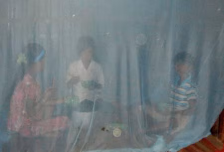 Ăn cơm trong mùng vì cát bụi ảnh 1