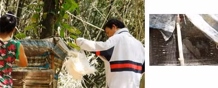 Đặc sản thịt cò trong vườn sinh thái ảnh 2
