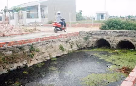 Mương thoát nước tù đọng khiến khu dân cư bị ô nhiễm và ngập úng ảnh 1