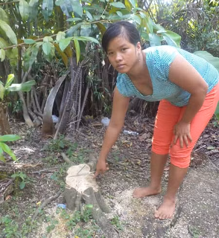 Sóc Trăng: Khởi tố cha, con giết người vì gốc bưởi già ảnh 1