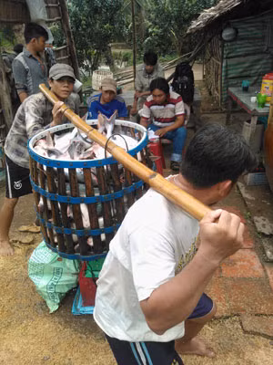 Bất cập xung quanh Nghị định 36 về nuôi, chế biến và xuất khẩu cá tra ảnh 1