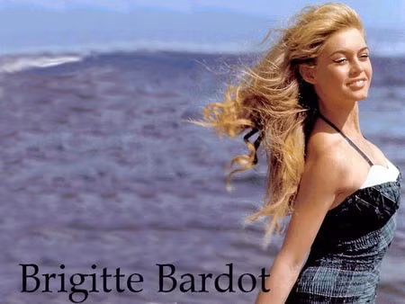 Brigitte Bardot khi còn trẻ.