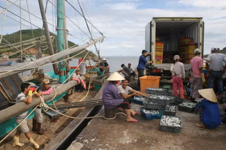 Ngư dân vững vàng giữ biển ảnh 1
