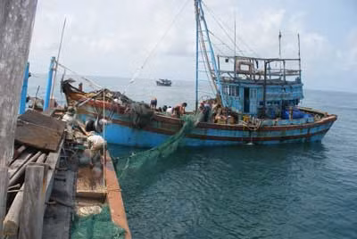 Ngư dân Trà Vinh khổ vì ghe cào bay ảnh 1