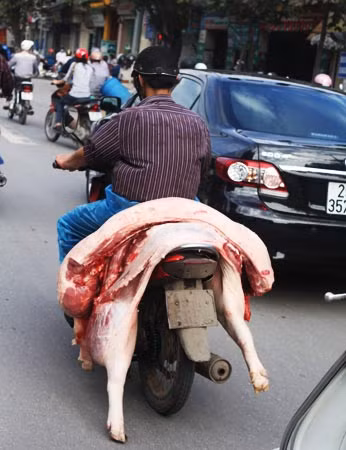 Kiên quyết đóng cửa những điểm giết mổ không đảm bảo vệ sinh ảnh 1