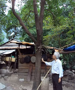 Ông Khanh đang khảo sát một cây dó ở lán ông Kê.