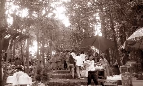 Chùa Hội Sơn - nơi ông Lợi tiếp cận được bài thuốc “đoạt mệnh tán” với cây xạ can làm chủ dược.