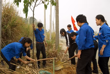 Tuổi trẻ tham gia Tết trồng cây.