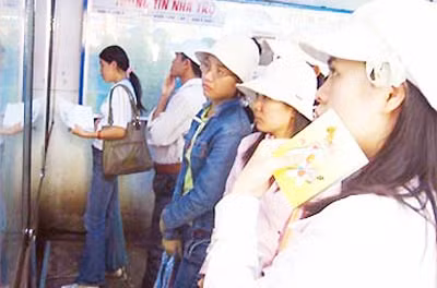 Sinh viên đến các trung tâm đăng ký tìm việc làm trước Tết.