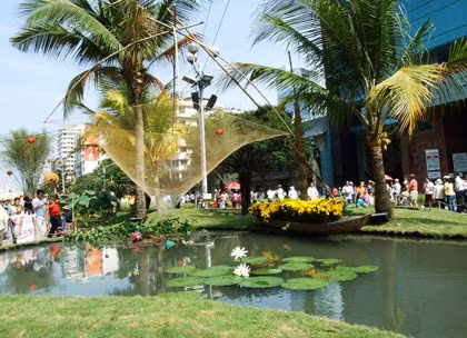 Vó cá bên ao làng không thể thiếu trước cảnh đồng quê chan chứa.