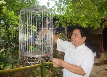 Nhà thơ Đinh Đăng Lượng dưới bóng cây vườn nhà.