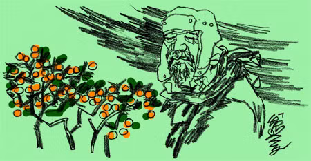 Minh họa: Lê Trí Dũng.