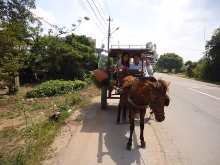 Vợ chồng nhà thơ Nguyễn Thanh Mừng trên chuyến xe ngựa về Gò Găng.
