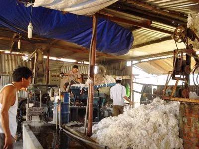 Một nông dân biến rác thải thành “tiền” ảnh 1