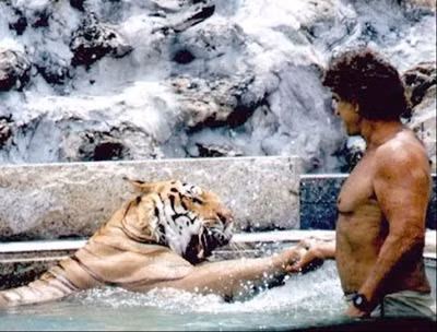 Steve Sipek và gần 100 con mãnh thú đã chung sống tại căn nhà ở Florida này gần 40 năm qua.