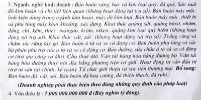 Trích một phần giấy đăng ký kinh doanh thành lập công ty do Quân làm giám đốc.