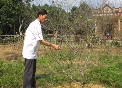 Chuyện Hải "cụt” hoàn lương ảnh 1