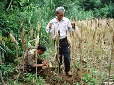 Anh Phan Ngọc Sáu cùng cộng sự đang tìm kiếm hài cốt liệt sỹ.