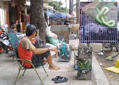 Sự thật về bài thuốc chữa ung thư bằng rắn độc ảnh 1