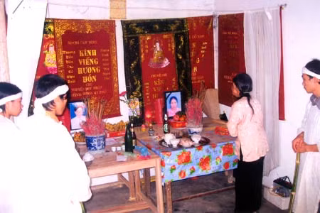 Bà nội già cưu mang 3 cháu mồ côi ảnh 1