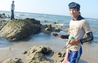 Dã tràng nơi đầu sóng ngọn gió ảnh 1