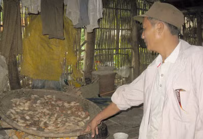 "Thần y" chữa rắn độc cắn ảnh 1
