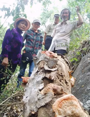 Một "bà thầy" bất đắc dĩ ảnh 2