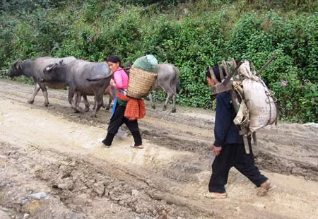 Báo động nạn phụ nữ rời bỏ nơi cư trú ở Lào Cai ảnh 1