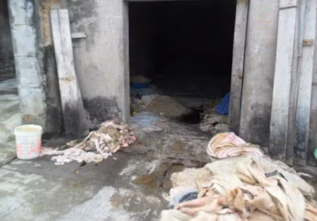 Một cơ sở sản xuất sơ chế da trâu bò gây ô nhiễm.