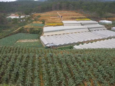 Lâm Đồng: Những dự án làm tan nát rừng phòng hộ ảnh 2