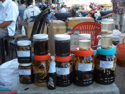 Đi chợ côn trùng biên giới ảnh 1