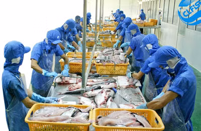 Xuất khẩu hàng thủy sản vào thị trường EU đang gặp khó do vướng phải quy định của Hội đồng Liên minh châu Âu về khai thác thủy sản. Ảnh: Trần Đức