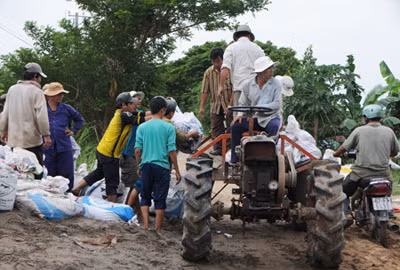 Người dân huyện đầu nguồn An Phú (An Giang) gia cố đê bao để bảo vệ lúa.
