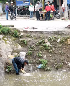 Giết mổ gia súc, xả nước thải trực tiếp xuống kênh An Kim Hải tại huyện An Dương.