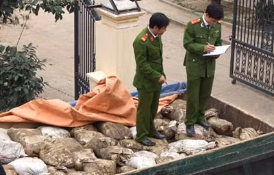 Công an huyện Như Thanh kiểm tra xe ôtô vận chuyển quặng Crôm trái phép.
