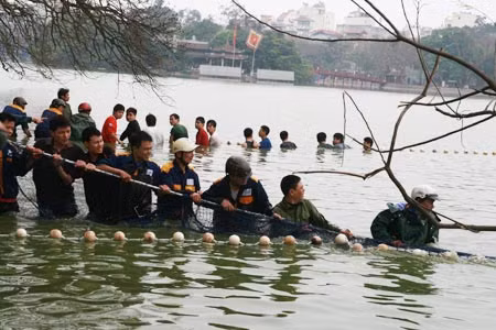 Lực lượng dân quân tự vệ đã được huy động để tham gia lai dẫn rùa Hồ Gươm.