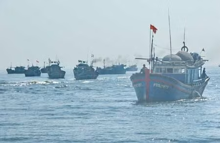 Tìm giải pháp tái cơ cấu ngành thủy sản phát triển bền vững ảnh 1