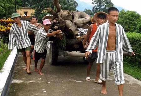 Các phạm nhân tham gia lao động sản xuất.