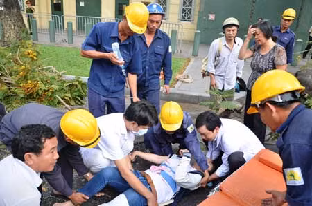 TPHCM: Nhánh cây rơi từ độ cao 7m trúng hai người đi đường ảnh 3