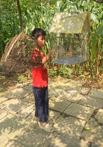 Bán con còn kiếm nhiều tiền hơn bán... ảnh 1