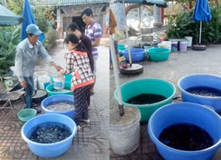 Qua miếu phóng sinh, "đi chợ" thầy bói ảnh 2