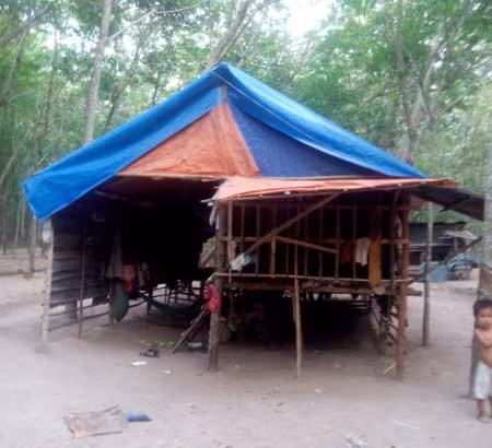 Nước mắt mẹ góa con côi ảnh 3