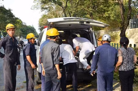 TPHCM: Nhánh cây rơi từ độ cao 7m trúng hai người đi đường ảnh 4