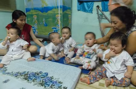 "Kỳ tích gia đình" ảnh 1