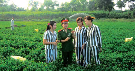 Những lối về ảnh 1